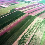 Roșioru - fotografie aeriană oblică
